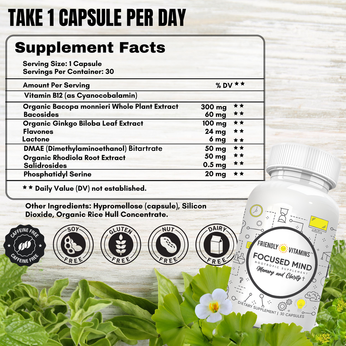 Focused Mind Brain Supplement