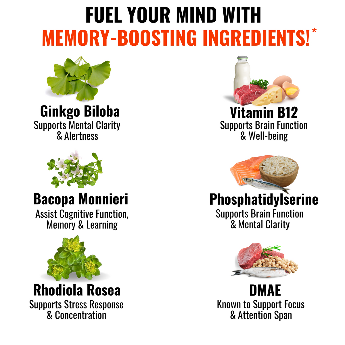 Focused Mind Brain Supplement